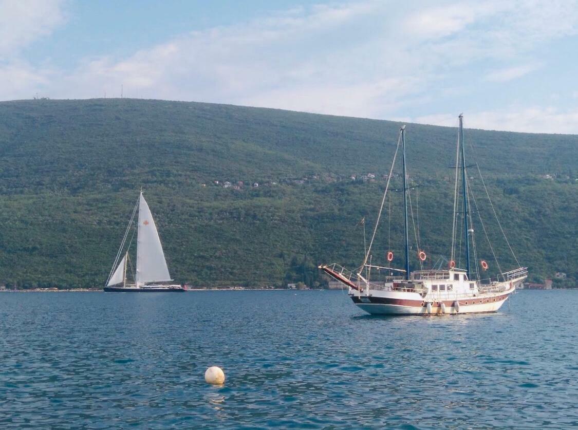 Vila Duricic 300M Od Mora Hotel Ðenovići Eksteriør billede